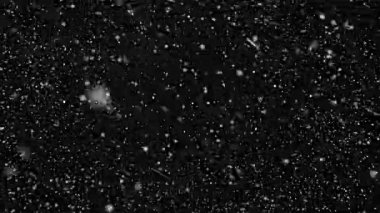 Kar görüntüleri. İzole edilmiş siyah arka planda düşen kar taneleri. Noel havası