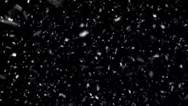Zie Beelden Falende Sneeuwvlokken Geïsoleerde Zwarte Achtergrond Kerstweer — Stockvideo
