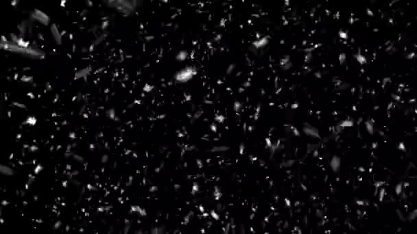 Imagens Nevar Flocos Neve Falhos Fundo Preto Isolado Tempo Natal — Vídeo de Stock