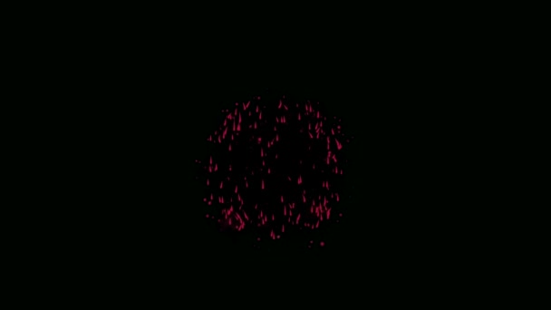 Накладывается Набор Красочных Фейерверков Реального Фейерверка — стоковое видео