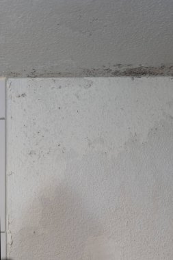 Duş duvarında siyah küf ve mantar oluşumunu kapatın. Banyoda nem ve su hasarı var..