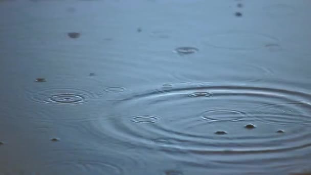 Małe krople deszczu spadające na kałużę — Wideo stockowe