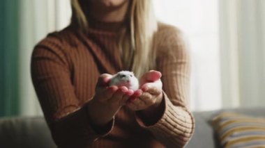 Beyaz hamster tutan kadın uzanmış elleri