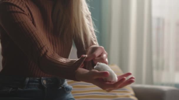 Vit hamster klättrar ung flicka i brun tröja ärm — Stockvideo