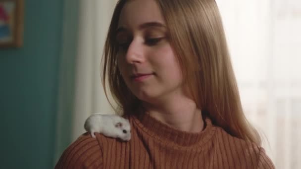 Witte hamster gleed van het bruine trui meisje — Stockvideo