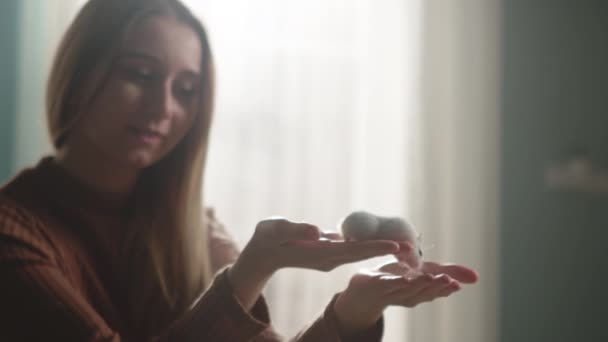 Белый хомяк медленно бежит в руках молодой девушки, сидящей перед окном — стоковое видео