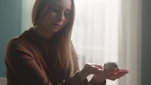 Hamster branco correndo em mãos de menina sentada na frente da janela — Vídeo de Stock