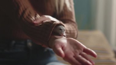 Beyaz hamster kahverengi kollu genç kıza tırmanıyor.