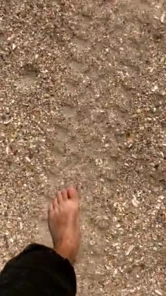 Les pieds masculins marchent sur la plage de sable — Video