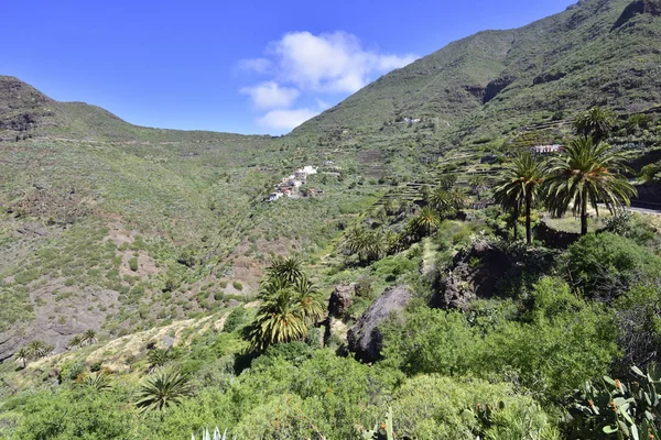 Klein Dorpje Masca Tenerife Het Dorp Ligt Een Hoogte Van — Stockfoto