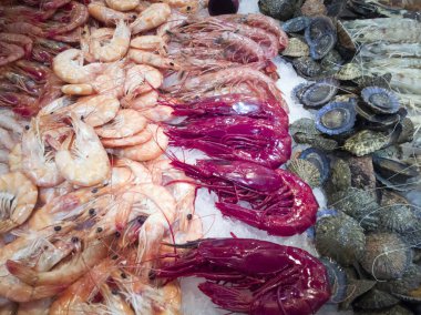 Taze istiridye ve karides balık pazarında satmak için hazır