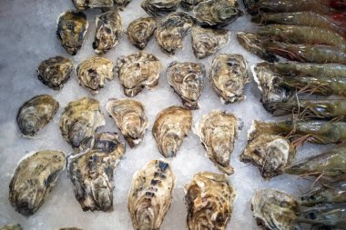 Taze istiridye ve karides balık pazarında satmak için hazır