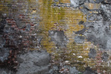 Küf ve yosun kaplı eski tuğla duvar