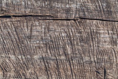 kabuk ahşap doku doku arka plan arka plan/ahşap kullanmak