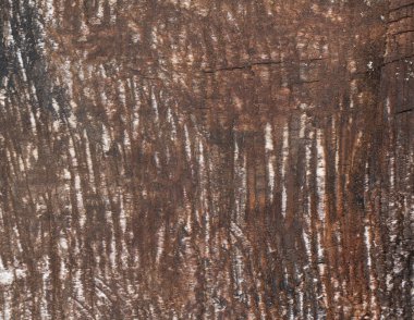 kabuk ahşap doku doku arka plan arka plan/ahşap kullanmak