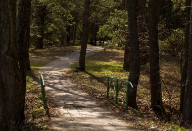 bahar parkında dolambaçlı yol