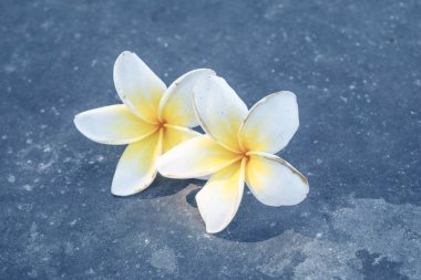 Grunge beton zemin üzerinde yapayalnız tesisat.