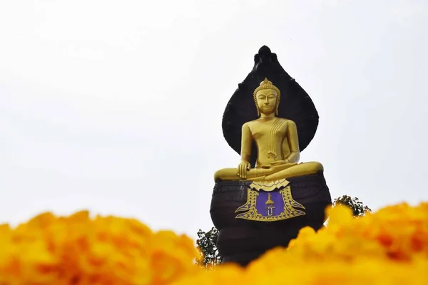 Permanece Hasta Una Estatua Grande Del Buddha Sentado Templo Thai — Foto de Stock