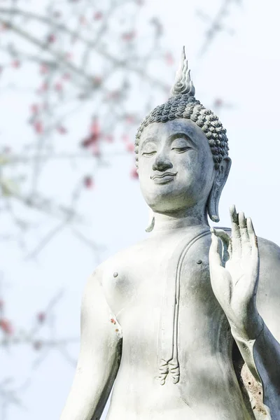 Día Visakha Puja Estatua Buda — Foto de Stock