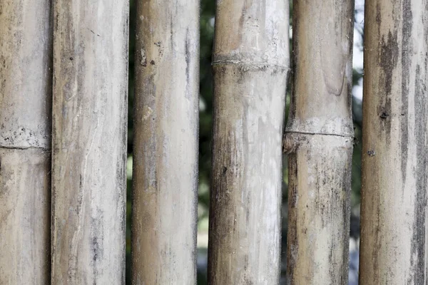 Vieille Clôture Bambou Brun — Photo