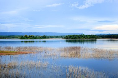 Nehir kıyısındaki çimenler ve dağlar