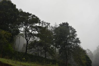 Sisteki dağın manzarası