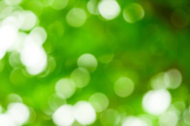 Bokeh ile bulanık izin, Işık Bokeh Arkaplanlı Yeşil Yaprak.