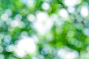 Bokeh ile bulanık izin, Işık Bokeh Arkaplanlı Yeşil Yaprak.