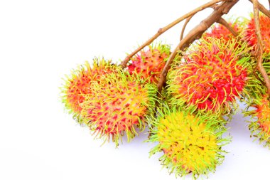 beyaz arkaplanda rambutan meyvesi
