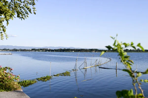 ケージの淡水魚 湖の風景 雲の水に反映 — ストック写真