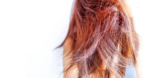 Pente Cabelo Penteado Cuidados Com Cabelos Estilo Vida Saudável Beleza — Fotografia de Stock