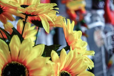 Çiçeklerin resmi, çiçeklerin konsepti