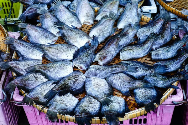 Świeże Ryby Rynku — Zdjęcie stockowe