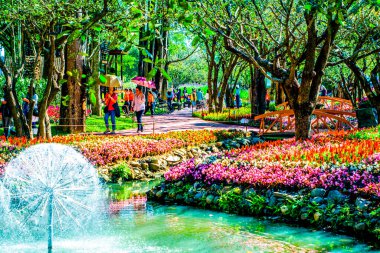 Çiçek açan güzel çiçekler kapanıyor 