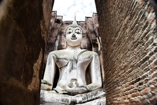 Posąg Buddy Wat Mahathat Ayutthaya Tajlandia — Zdjęcie stockowe