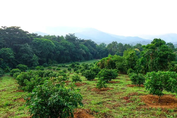 Arkaplanda gökyüzü olan dağların üzerinden gün doğumu