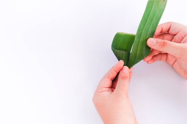 Beyaz arka planda yeşil yaprakları tutan kadın elleri