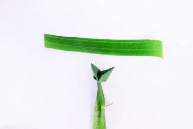 Aloe Vera beyaz arkaplanda ayrılıyor