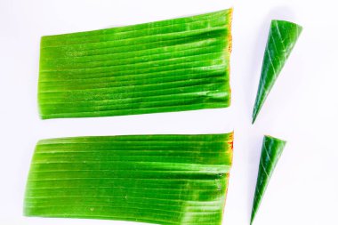 Aloe Vera beyaz arkaplanda ayrılıyor