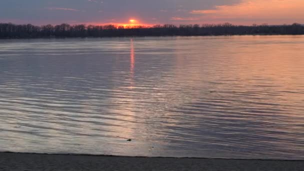 Wunderschöner Sonnenuntergang Großen Fluss Goldene Spiegelungen Auf Dem Wasser Vom — Stockvideo