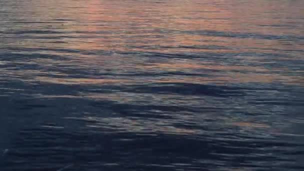 Όμορφο Ηλιοβασίλεμα Στο Μεγάλο Ποτάμι Χρυσές Αντανακλάσεις Στο Νερό Από — Αρχείο Βίντεο