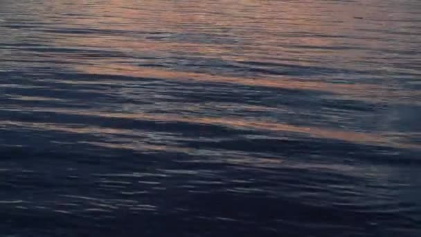 Vacker Solnedgång Den Stora Floden Gyllene Reflektioner Vattnet Från Den — Stockvideo