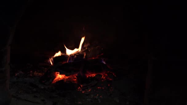 燃烧的壁炉 温暖舒适的熊熊烈火 在砖砌的壁炉关闭 — 图库视频影像