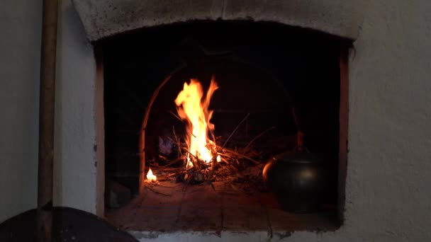 Εκθαμβωτικά πυροτεχνήματα φωτίζουν τον νυχτερινό ουρανό. — Αρχείο Βίντεο