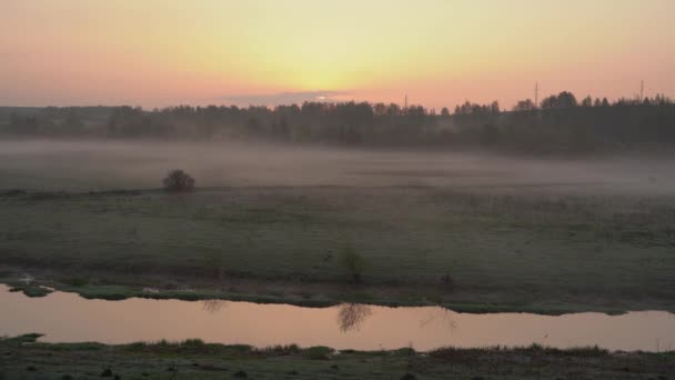 Sonnenaufgang Über Dem Fluss Nebel Morgen Über Dem Fluss Bäume — Stockvideo