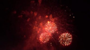 Şeffaf arkaplanda soyut altın havai fişek patlaması. Yeni yıl kutlamaları havai fişekler. Karanlık arka planda bayram havai fişekleri