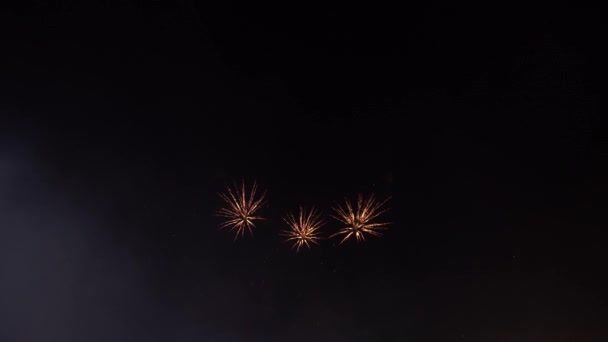 Abstract Golden Fireworks Explosion Transparent Background New Year Celebration Fireworks — Stock Video