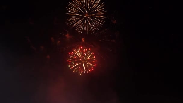 透明な背景に金色の花火の爆発 新年のお祝い花火 暗い背景に休日花火 — ストック動画