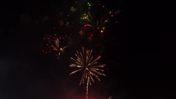 透明な背景に金色の花火の爆発 新年のお祝い花火 暗い背景に休日花火 — ストック動画