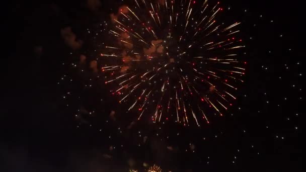 Abstraktes Goldenes Feuerwerk Explodiert Auf Transparentem Hintergrund Silvesterfeuerwerk Feiertagsfeuerwerk Auf — Stockvideo